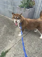 processed/0278d26e-4f3c-46f2-b44f-98800399ef9b/listing/f754fbf7-9e74-4ca7-bcbe-345f638d4038/efc4c370-a0aa-4c32-9ab6-33e84a0be65f