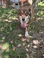 processed/0278d26e-4f3c-46f2-b44f-98800399ef9b/listing/f754fbf7-9e74-4ca7-bcbe-345f638d4038/f67ad5b6-ef5a-43cf-b423-fa40ac76642d