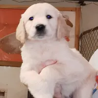 processed/027b3902-b660-40ed-80e4-6432baa5cda3/facility/0fcee9ee-4c5e-4952-9f80-5b85af63c542