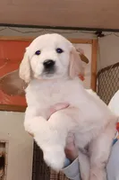 processed/027b3902-b660-40ed-80e4-6432baa5cda3/facility/0fcee9ee-4c5e-4952-9f80-5b85af63c542