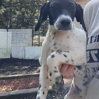 processed/027b3902-b660-40ed-80e4-6432baa5cda3/facility/1a5aff0b-7fff-48ab-812c-daa98b7be894