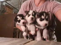 processed/027b3902-b660-40ed-80e4-6432baa5cda3/facility/43b9e634-d130-4f72-a710-0ebacf38b5d1