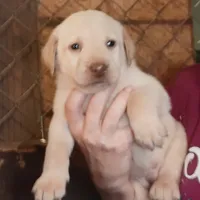 processed/027b3902-b660-40ed-80e4-6432baa5cda3/facility/6a1fb00f-f212-4c3f-b9ac-ec006453ed94