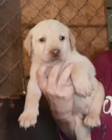 processed/027b3902-b660-40ed-80e4-6432baa5cda3/facility/6a1fb00f-f212-4c3f-b9ac-ec006453ed94