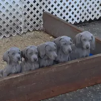 processed/027b3902-b660-40ed-80e4-6432baa5cda3/facility/700d8f6c-8dc6-4936-9efe-b5ee81e16f60