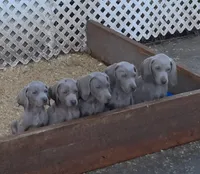 processed/027b3902-b660-40ed-80e4-6432baa5cda3/facility/700d8f6c-8dc6-4936-9efe-b5ee81e16f60