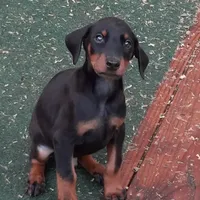 processed/027b3902-b660-40ed-80e4-6432baa5cda3/facility/bf3f718c-92d2-4650-9a7e-aa3e456708be