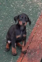 processed/027b3902-b660-40ed-80e4-6432baa5cda3/facility/bf3f718c-92d2-4650-9a7e-aa3e456708be