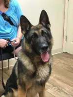 processed/027ed5fb-da0f-4c53-9e30-b0365372ddd8/facility/1efaf8f2-c618-407c-b3c2-1d49cde77d70