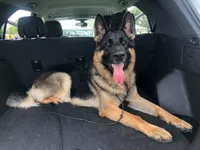 processed/027ed5fb-da0f-4c53-9e30-b0365372ddd8/facility/3c7b207a-4ec1-4dc1-bcd1-078db54f9570