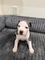 processed/0281bfe6-1a55-4228-ae71-6bfe1c20f3b5/listing/24cdb7df-51f0-4a59-a8cd-5067070cbc97/07a3d62c-814a-41eb-9f9e-c1517771c376