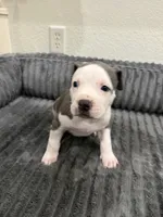 processed/0281bfe6-1a55-4228-ae71-6bfe1c20f3b5/listing/24cdb7df-51f0-4a59-a8cd-5067070cbc97/a2e5d201-1cb5-4470-a7e6-c3480ca2b3de