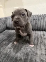 processed/0281bfe6-1a55-4228-ae71-6bfe1c20f3b5/listing/35f9a609-6a2b-45f8-b882-4d5fa5b716b1/ad2aa924-abdf-4e0c-81e8-0f04a0e41d57