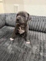 processed/0281bfe6-1a55-4228-ae71-6bfe1c20f3b5/listing/3797d29b-dd87-45b0-a7f8-5fe600c450d0/ba538458-92f6-4dd3-a0bb-522e4145d2fa