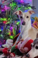 processed/02884652-090e-4228-b73d-3e8e648dda82/listing/64129bf9-9d39-4d0c-9460-b559b8f88afe/07e39fc8-3ce1-46af-8be7-8681654c0f9e