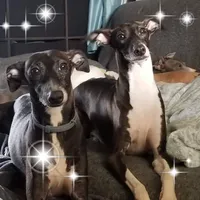 processed/02884652-090e-4228-b73d-3e8e648dda82/listing/64129bf9-9d39-4d0c-9460-b559b8f88afe/3fd73f67-5304-4453-bc16-1fffd0b689b1