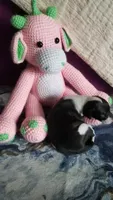Genesis- Pennsylvania, a female Italian Greyhound for sale in Levittown, PA – 10 of 10