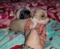 processed/02884652-090e-4228-b73d-3e8e648dda82/listing/edf20a2b-dc89-4b57-a42b-5532595d739e/1622f871-dab2-46c7-9956-b728a6261e92