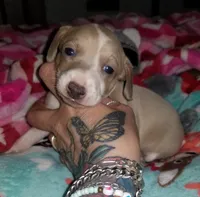 processed/02884652-090e-4228-b73d-3e8e648dda82/listing/edf20a2b-dc89-4b57-a42b-5532595d739e/242c2f89-7fef-4310-8073-e5849c1c92fc