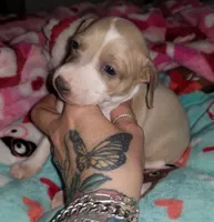 processed/02884652-090e-4228-b73d-3e8e648dda82/listing/edf20a2b-dc89-4b57-a42b-5532595d739e/8c33c64b-5918-42c0-8c0f-0653c3bc3f6a