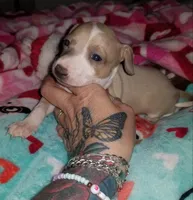 processed/02884652-090e-4228-b73d-3e8e648dda82/listing/edf20a2b-dc89-4b57-a42b-5532595d739e/9e01482d-e423-478c-bf4c-1ef748f2fc42