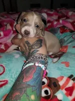 processed/02884652-090e-4228-b73d-3e8e648dda82/listing/edf20a2b-dc89-4b57-a42b-5532595d739e/bb82ce6c-f782-405a-a334-2bbc0f407c97