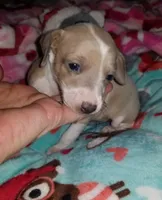 processed/02884652-090e-4228-b73d-3e8e648dda82/listing/edf20a2b-dc89-4b57-a42b-5532595d739e/f790a71a-b4c6-4954-8d6a-39971d36e3f5