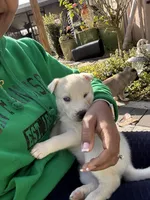 processed/028a82d4-097e-453a-9934-cb71c88e8ce1/listing/240bd01d-5014-4fb1-947c-82c0a6f5a988/0e16d8de-ebc2-4910-b94c-2e92bdc25782