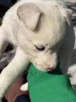 processed/028a82d4-097e-453a-9934-cb71c88e8ce1/listing/240bd01d-5014-4fb1-947c-82c0a6f5a988/1348f078-05a0-4740-a039-8a8f3b92d823