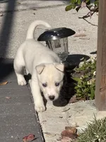 processed/028a82d4-097e-453a-9934-cb71c88e8ce1/listing/240bd01d-5014-4fb1-947c-82c0a6f5a988/99fde459-cc02-4e10-9abc-03efe85dac2d