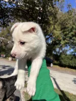 processed/028a82d4-097e-453a-9934-cb71c88e8ce1/listing/240bd01d-5014-4fb1-947c-82c0a6f5a988/c9d01e9e-55af-4e83-9345-fe3898f5c620