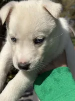 processed/028a82d4-097e-453a-9934-cb71c88e8ce1/listing/240bd01d-5014-4fb1-947c-82c0a6f5a988/cc438565-dde0-455c-8394-94af2f79b9ae