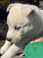 processed/028a82d4-097e-453a-9934-cb71c88e8ce1/listing/240bd01d-5014-4fb1-947c-82c0a6f5a988/fede3334-f097-495a-bf35-20d340d6e5f7