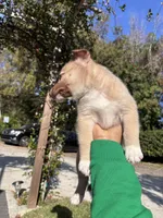 processed/028a82d4-097e-453a-9934-cb71c88e8ce1/listing/bbd24570-7cbf-419e-9e72-d506e3bf29e5/6c882469-a552-41f1-8c1b-0adeedfbe36b