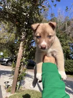 processed/028a82d4-097e-453a-9934-cb71c88e8ce1/listing/bbd24570-7cbf-419e-9e72-d506e3bf29e5/734f369d-4d45-4b03-a9b5-da9022b45140