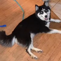 processed/029b942b-bb57-45cc-9983-f8cace9760e5/facility/be1ce916-bb2a-4c7a-84b7-a3cf9da6ecae