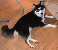 processed/029b942b-bb57-45cc-9983-f8cace9760e5/facility/be1ce916-bb2a-4c7a-84b7-a3cf9da6ecae