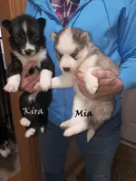 processed/029b942b-bb57-45cc-9983-f8cace9760e5/listing/1283adfd-3e6f-4b78-8c00-3731a5ab7ade/0bf9b95f-3784-4015-b941-45c834041bcd