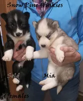 processed/029b942b-bb57-45cc-9983-f8cace9760e5/listing/87219113-f9d3-4d95-bfa5-0122f3c71d76/b45c95fd-a47e-43ef-b37d-e90ddb61b97e