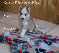 processed/029b942b-bb57-45cc-9983-f8cace9760e5/listing/87219113-f9d3-4d95-bfa5-0122f3c71d76/e3038399-2630-4371-9ea3-6592d912f5f7