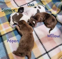 processed/029f9c29-f785-46af-8f06-337e336e91f1/listing/23c31d66-655b-430e-ab7c-a417a0b6bc87/14fb232e-c533-428f-a665-2a3fdbb84a05