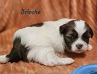 processed/029f9c29-f785-46af-8f06-337e336e91f1/listing/7d06e242-6962-4655-8e6f-5e83257cbb63/00f262f8-8da6-4656-9895-6eb4afb1c5f4