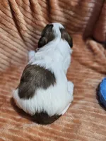 processed/029f9c29-f785-46af-8f06-337e336e91f1/listing/7d06e242-6962-4655-8e6f-5e83257cbb63/43e58b26-c662-4f3e-8a57-f9aee804b2f6