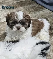 processed/029f9c29-f785-46af-8f06-337e336e91f1/listing/7d06e242-6962-4655-8e6f-5e83257cbb63/4b23db3f-c0ff-4093-8fa0-064808d55d76