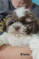 processed/029f9c29-f785-46af-8f06-337e336e91f1/listing/7d06e242-6962-4655-8e6f-5e83257cbb63/8db6a0ca-96a8-4ab8-a4bd-139b770f2e5a