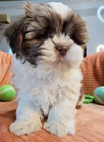 processed/029f9c29-f785-46af-8f06-337e336e91f1/listing/7d06e242-6962-4655-8e6f-5e83257cbb63/bc5380e3-c15d-4981-930a-cf548fad4904