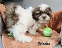 processed/029f9c29-f785-46af-8f06-337e336e91f1/listing/7d06e242-6962-4655-8e6f-5e83257cbb63/e106cbce-411d-44b7-afd0-872a28e9d92a