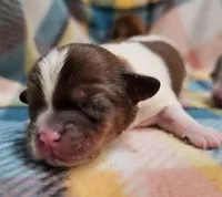 processed/029f9c29-f785-46af-8f06-337e336e91f1/listing/b161469c-0c12-4a67-8fcc-9e082ab10821/3152a35d-df69-4aa3-bd56-17d70ec94fe0