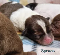 processed/029f9c29-f785-46af-8f06-337e336e91f1/listing/b161469c-0c12-4a67-8fcc-9e082ab10821/da087841-36a9-4c14-aa34-9d59d26fdd8b