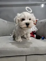 processed/029f9c29-f785-46af-8f06-337e336e91f1/listing/ee2d5eb1-8210-449d-b5ad-cbd90f65c5dd/023bb45a-a49b-4bdb-b72b-64c038112536